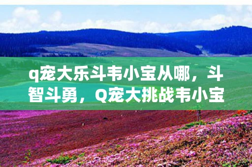 q宠大乐斗韦小宝从哪，斗智斗勇，Q宠大挑战韦小宝