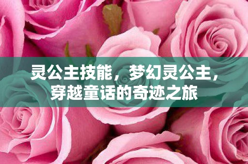 灵公主技能，梦幻灵公主，穿越童话的奇迹之旅