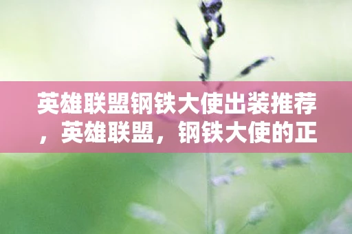 英雄联盟钢铁大使出装推荐，英雄联盟，钢铁大使的正确出装指南