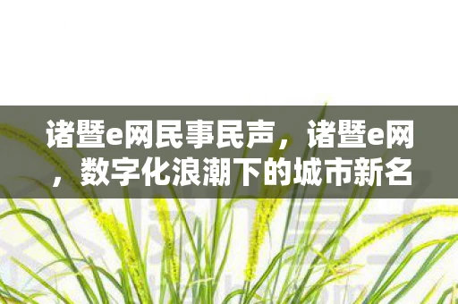 诸暨e网民事民声，诸暨e网，数字化浪潮下的城市新名片
