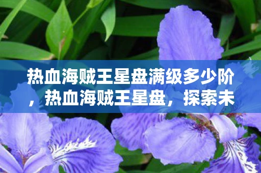 热血海贼王星盘满级多少阶，热血海贼王星盘，探索未知海域的导航图