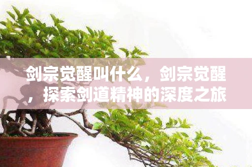 剑宗觉醒叫什么，剑宗觉醒，探索剑道精神的深度之旅