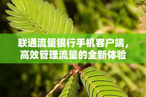联通流量银行手机客户端图片