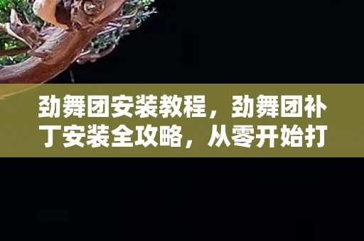 劲舞团安装教程，劲舞团补丁安装全攻略，从零开始打造你的游戏新世界
