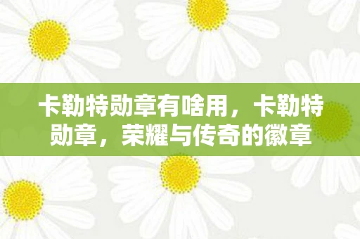 卡勒特勋章有啥用，卡勒特勋章，荣耀与传奇的徽章