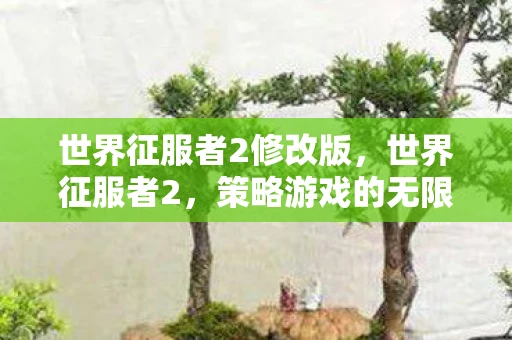 世界征服者2修改版，世界征服者2，策略游戏的无限可能