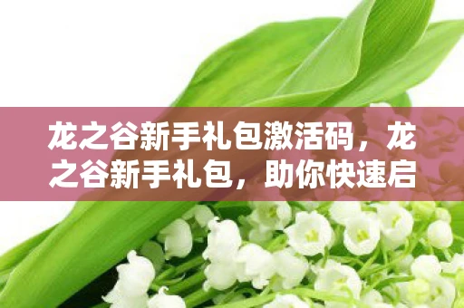 龙之谷新手礼包激活码，龙之谷新手礼包，助你快速启程的必备指南