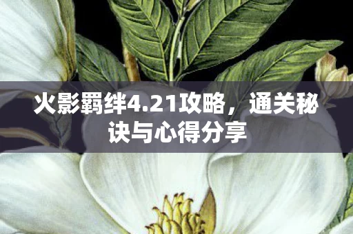 通关秘诀与心得分享图片