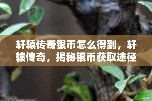 轩辕传奇银币怎么得到，轩辕传奇，揭秘银币获取途径，助你轻松升级