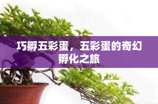 五彩蛋的奇幻孵化之旅图片