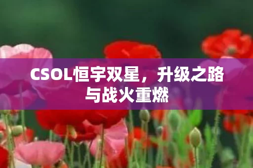升级之路与战火重燃图片