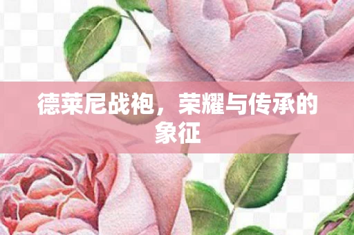 荣耀与传承的象征图片