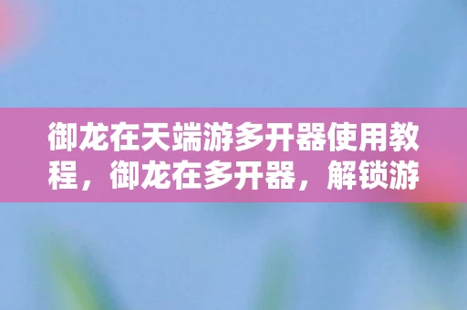 御龙在天端游多开器使用教程，御龙在多开器，解锁游戏新境界的利器
