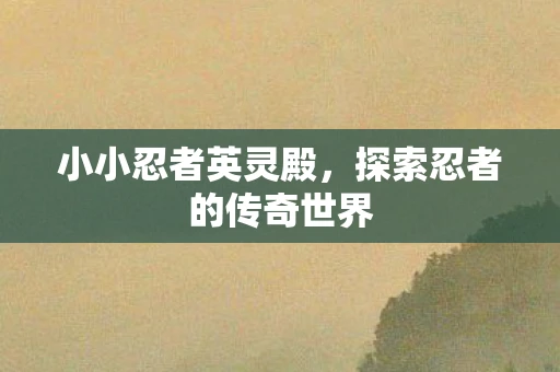 小小忍者英灵殿，探索忍者的传奇世界