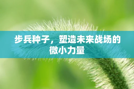 步兵种子，塑造未来战场的微小力量