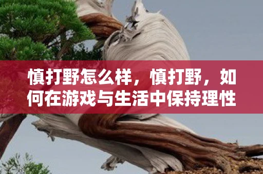 慎打野怎么样，慎打野，如何在游戏与生活中保持理性与自律
