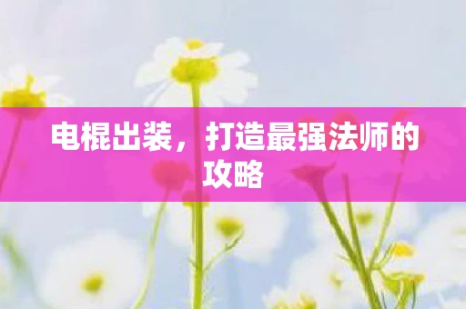 电棍出装，打造最强法师的攻略