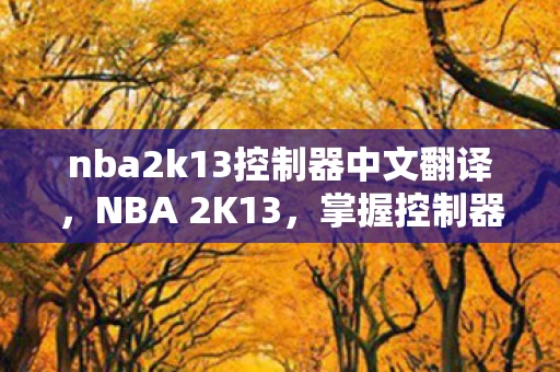 nba2k13控制器中文翻译，NBA 2K13，掌握控制器翻译的奥秘