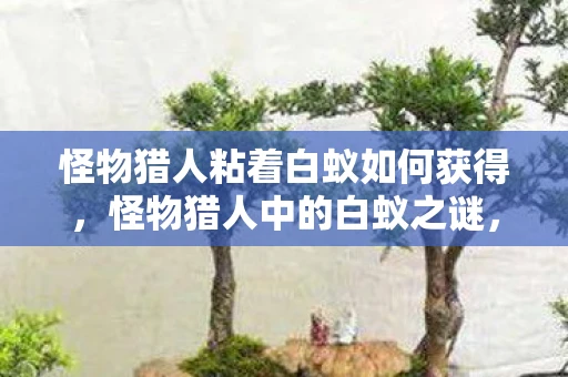 怪物猎人粘着白蚁如何获得，怪物猎人中的白蚁之谜，探索游戏中的奇异生物