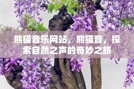 熊猫音乐网站，熊猫音，探索自然之声的奇妙之旅