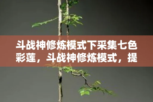 斗战神修炼模式下采集七色彩莲，斗战神修炼模式，提升战斗力的关键步骤
