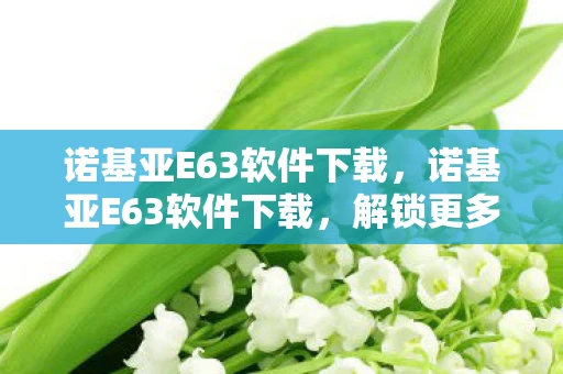 诺基亚E63软件下载，诺基亚E63软件下载，解锁更多功能，提升手机性能