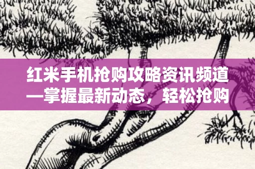红米手机抢购攻略资讯频道图片