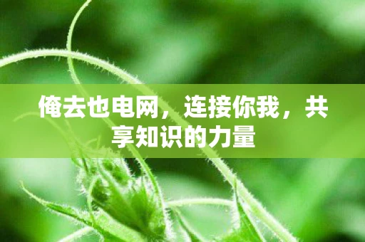 俺去也电网，连接你我，共享知识的力量