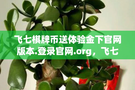 飞七棋牌币送体验金下官网版本.登录官网.org，飞七，探索未知，挑战自我