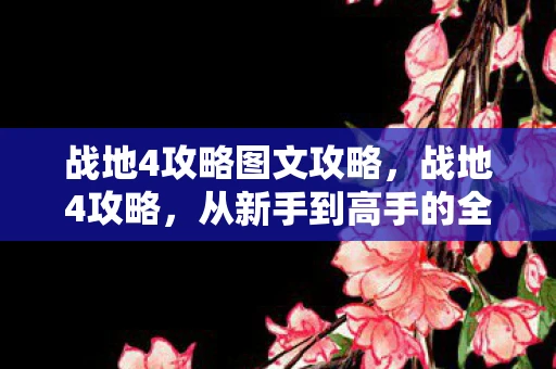 战地4攻略图文攻略，战地4攻略，从新手到高手的全面指南