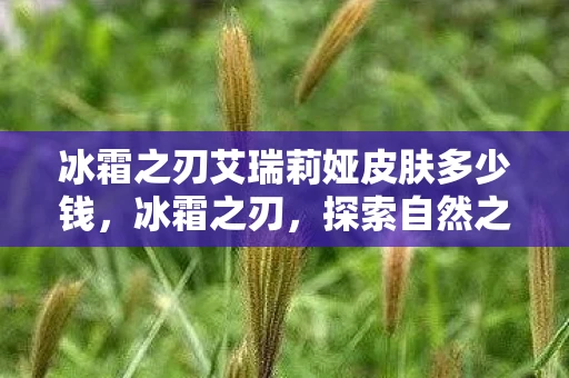 冰霜之刃艾瑞莉娅皮肤多少钱，冰霜之刃，探索自然之力的神秘武器