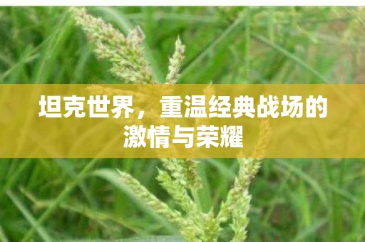 坦克世界，重温经典战场的激情与荣耀