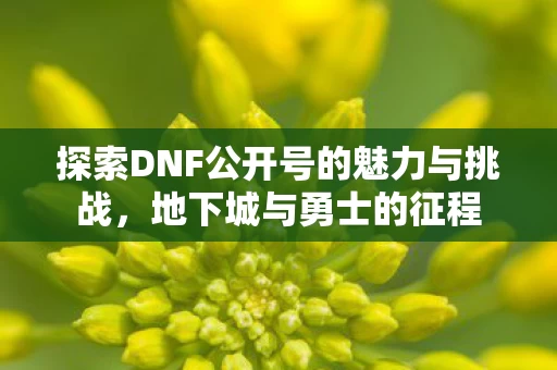 探索DNF公开号的魅力与挑战图片