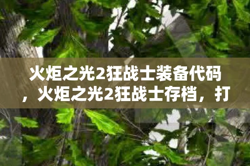 火炬之光2狂战士装备代码，火炬之光2狂战士存档，打造你的终极战斗机器