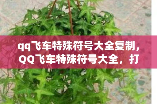 qq飞车特殊符号大全复制，QQ飞车特殊符号大全，打造个性化昵称的秘籍