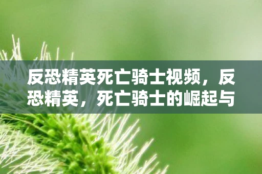 反恐精英死亡骑士视频，反恐精英，死亡骑士的崛起与陨落