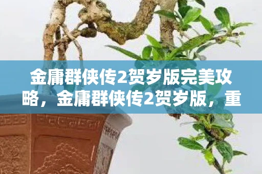 金庸群侠传2贺岁版完美攻略，金庸群侠传2贺岁版，重温经典，再续武侠梦