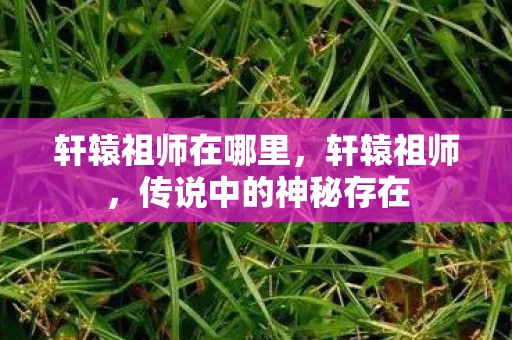 轩辕祖师在哪里，轩辕祖师，传说中的神秘存在