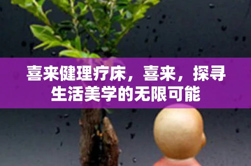 喜来健理疗床，喜来，探寻生活美学的无限可能