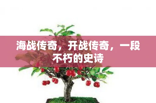 海战传奇，开战传奇，一段不朽的史诗