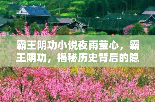 霸王阴功小说夜雨莹心，霸王阴功，揭秘历史背后的隐秘力量