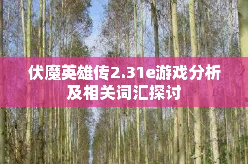 31e游戏分析及相关词汇探讨图片