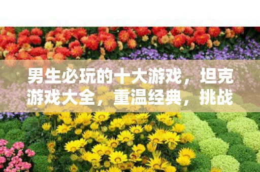 男生必玩的十大游戏，坦克游戏大全，重温经典，挑战未来