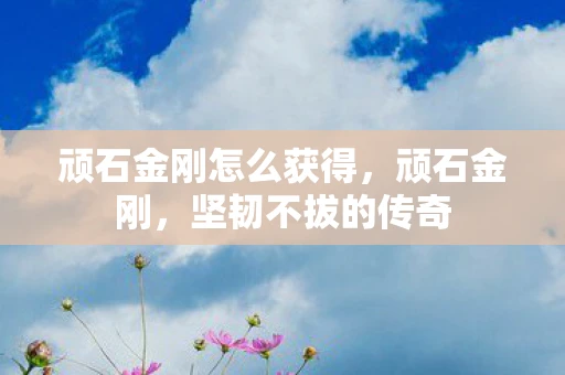 顽石金刚怎么获得，顽石金刚，坚韧不拔的传奇