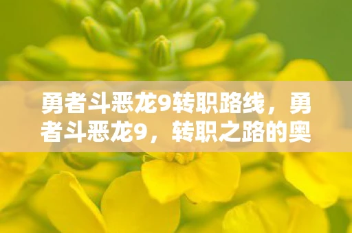 勇者斗恶龙9转职路线，勇者斗恶龙9，转职之路的奥秘