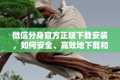 微信分身官方正版下载安装，如何安全、高效地下载和安装软件版本