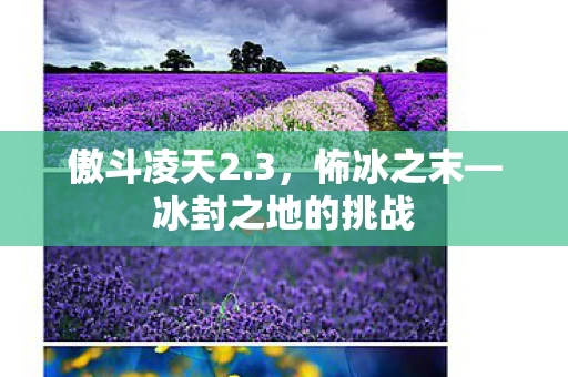 冰封之地的挑战图片