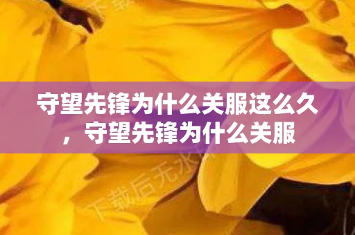 守望先锋为什么关服这么久，守望先锋为什么关服