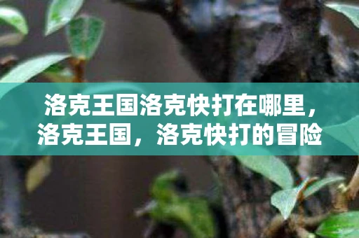 洛克王国洛克快打在哪里，洛克王国，洛克快打的冒险之旅