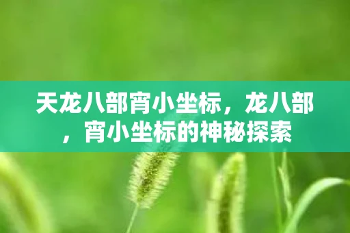天龙八部宵小坐标，龙八部，宵小坐标的神秘探索